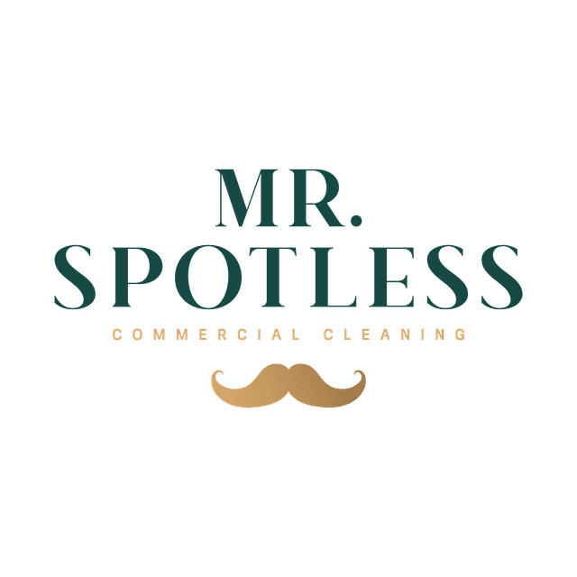 Mr. Spotless Logo